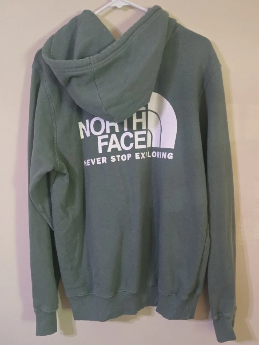 The North Face Men's Pullover Hoodie in Sage Green